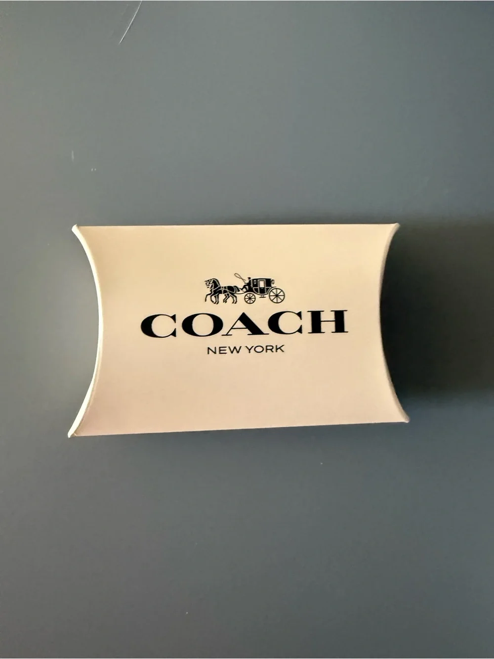 Coach Silver Floral Pendant Necklace